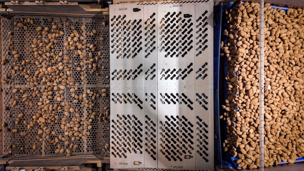 Sistemas de limpieza avanzados para frutas y hortalizas frescas.png